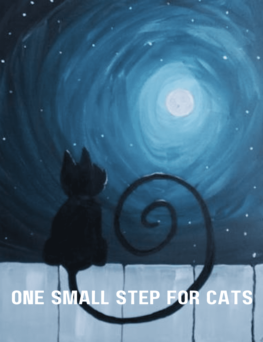 One Small Step For Cats