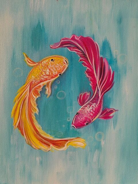 Betta-Together Betta-Together